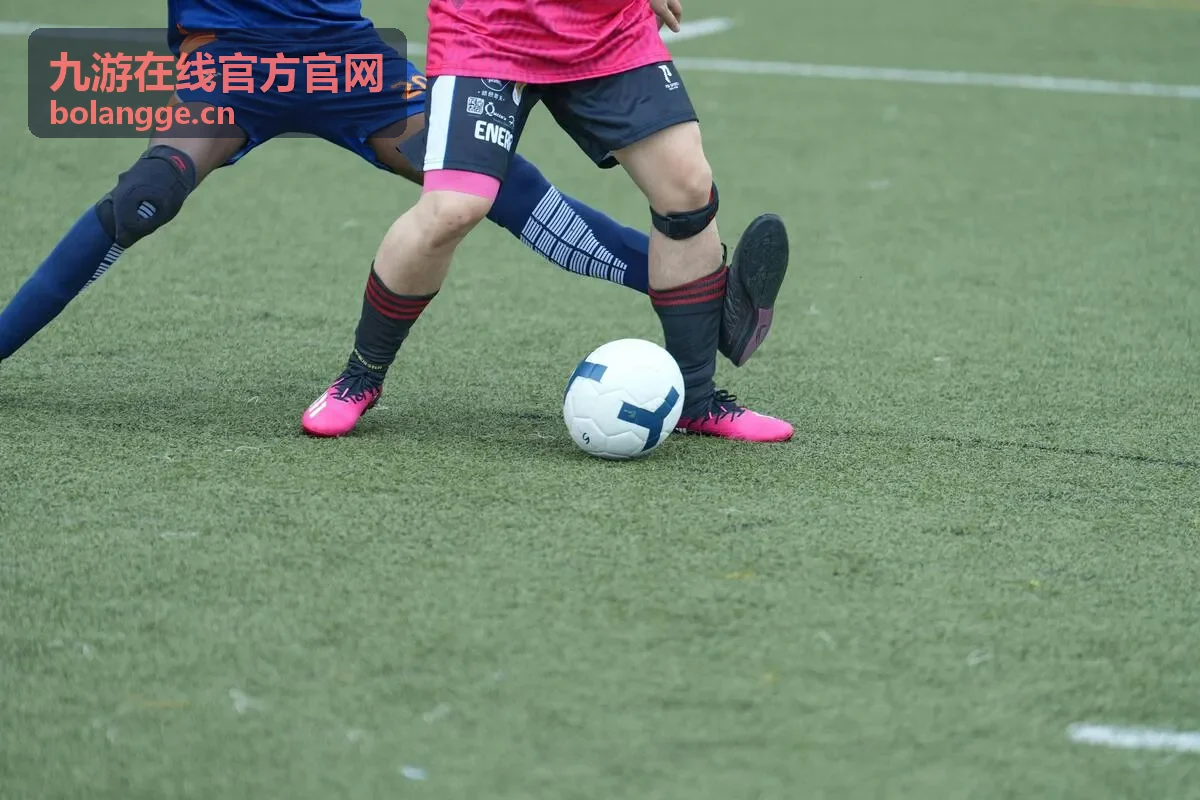 九游在线官方官网功能栏目查阅说明配图